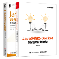 Java多线程与Socket 实战微服务框架+Java高并发编程详解 多线程与架构设计书籍 共2册pdf下载