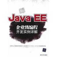 JavaEE企业级编程开发实例详解pdf下载pdf下载