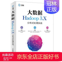 大数据Hadoop 3.X分布式处理实战 吴章勇 杨强 hive编程实战 推荐系统消息识别书 大数据pdf下载