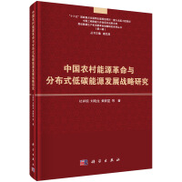 中国农村能源革命与分布式低碳能源发展战略研究pdf下载