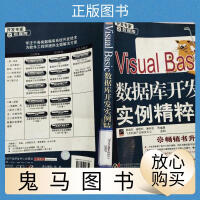 Visual Basic数据库开发实例精粹 第2版pdf下载