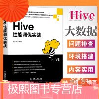 正版 Hive性能调优实战 Hive性能优化教程 hive编程指南 hive教程书籍 搭建大数据平台pdf下载