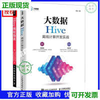 大数据Hive离线计算开发实战+Hive编程指南 2册离线和时时大数据pdf下载