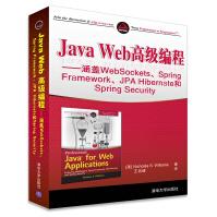 JavaWeb高级编程-涵盖WebSockets.SpringFramepdf下载pdf下载