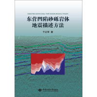 东营凹陷砂砾岩体地震描述方法（推荐PC阅读）pdf下载