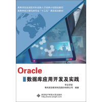 Oracle数据库应用开发及实践pdf下载