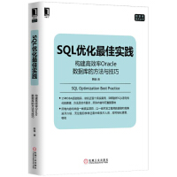 SQL优化最佳实践：构建高效率Oracle数据库的方法与技巧pdf下载