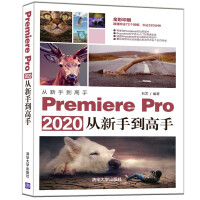 Premiere Pro 2020从新手到高手（全彩印刷）/从新手到高手pdf下载