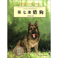 动物小说大王沈石溪·品藏书系：第七条猎狗pdf下载