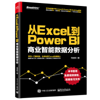 从Excel到Power BI：商业智能数据分析(博文视点出品)pdf下载