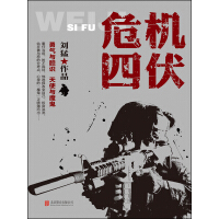 《危机四伏》[32M]百度网盘|亲测有效|pdf下载