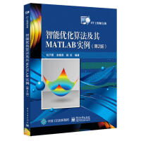 智能优化算法及其MATLAB实例 2版 计算机网络 程序设计 遗传算法的基本概念pdf下载