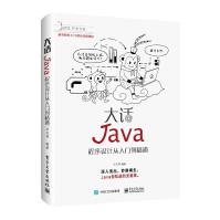 大话Java：程序设计从入门到精通pdf下载pdf下载