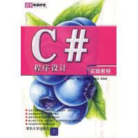 C#程序设计实践教程李乃文等编著pdf下载pdf下载