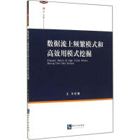 数据流上频繁模式和高效用模式挖掘王乐 pdf下载