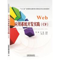 web应用系统开发实践编程语言pdf下载pdf下载