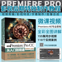 pr2020教程书籍 中文版Premiere Pro CC从入门到精通 pr教程（全彩印 高清视频）pdf下载