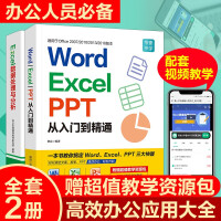 Word Excel PPT从入门到精通+Excel数据处理与分析wps教程表格制作函数R Excel入门教程+数据处理2册pdf下载