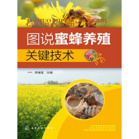图说蜜蜂养殖关键技术pdf下载