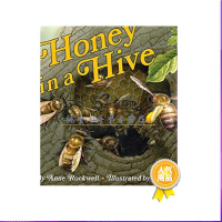 英文原版 Honey in a Hive 蜂房里的蜜蜂 分级读物L2 小花生推荐 自然pdf下载
