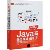 Java高手是怎样炼成的pdf下载pdf下载