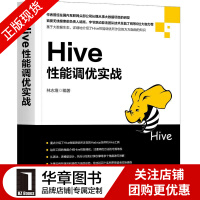 现货包邮 Hive性能调优实战 林志煌 Hive的调优|8066346pdf下载