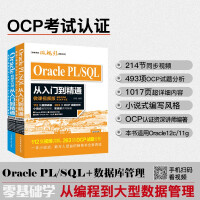 2本 Oracle PL/SQL从入门到精通 Oracle数据库管理 微课视频版pdf下载