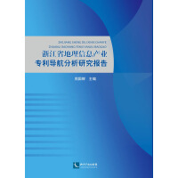 浙江省地理信息产业专利导航分析研究报告pdf下载