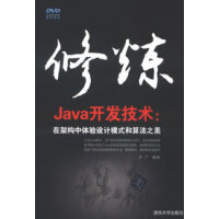 修炼Java开发技术:在架构中体验设计模式和算法之美 于广 清华大学出版社