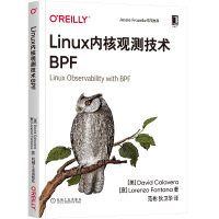 Linux内核观测技术BPFpdf下载