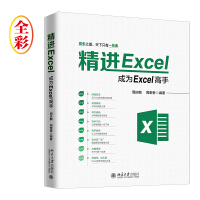 精进Excel：成为Excel高手（全彩）pdf下载