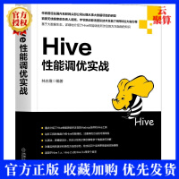 2020新书 Hive性能调优实战 林志煌 大数据项目开发SQL性能影响数据控制语言大数据生态Hivpdf下载