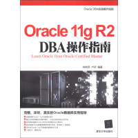 Oracle 11g R2 DBA操作指南pdf下载