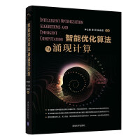 《智能优化算法与涌现计算》[57M]百度网盘|亲测有效|pdf下载