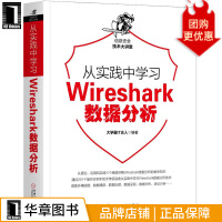 从实践中学习Wireshark数据分析霸IT达人pdf下载pdf下载