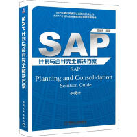 SAP计划与合并完全解决方案pdf下载pdf下载